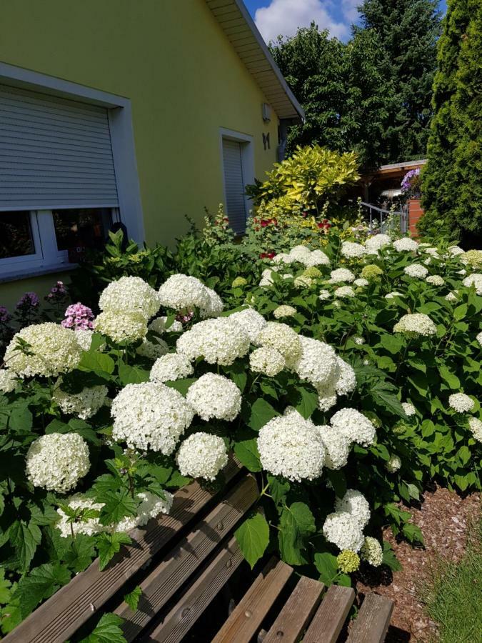 Nuthe-Urstromtal Ferienwohnung Lotte מראה חיצוני תמונה